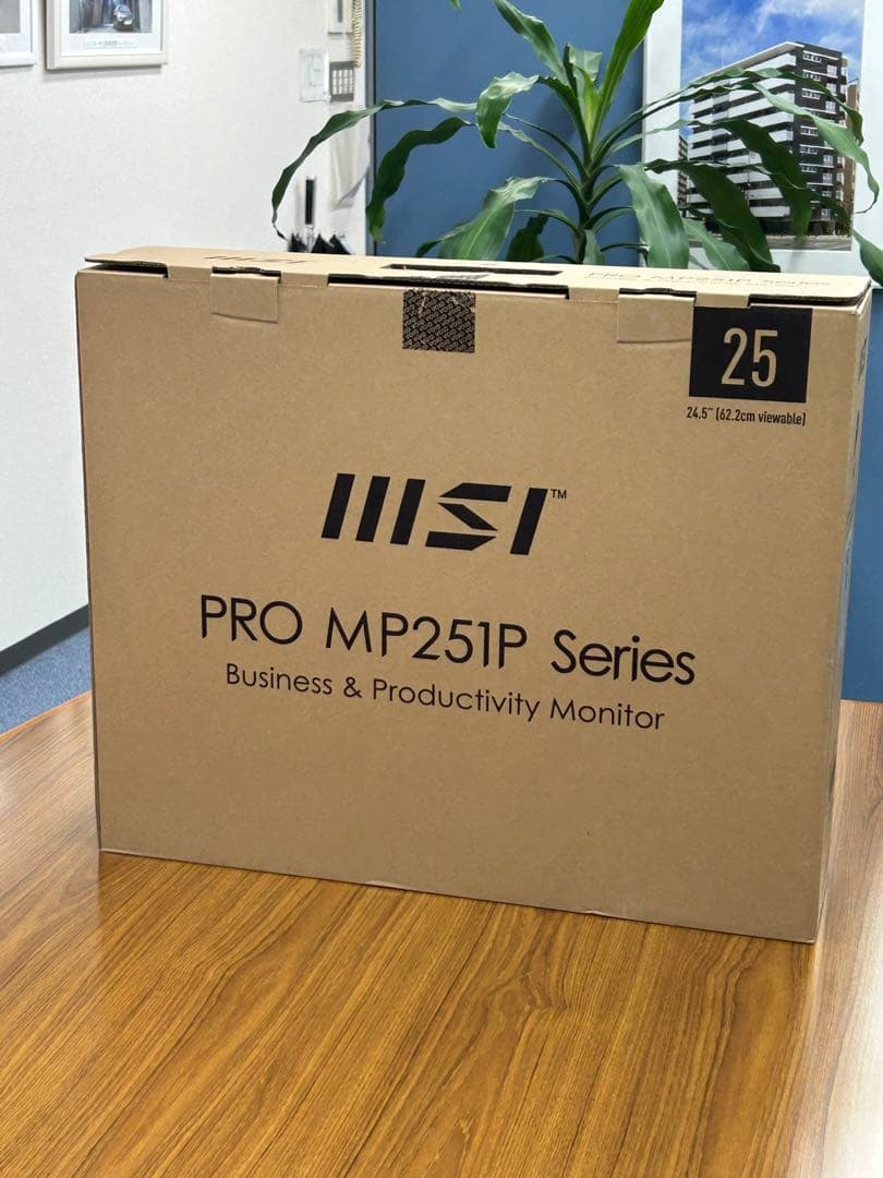 フ*ン様 MSI PRO MP251P 25インチモニター