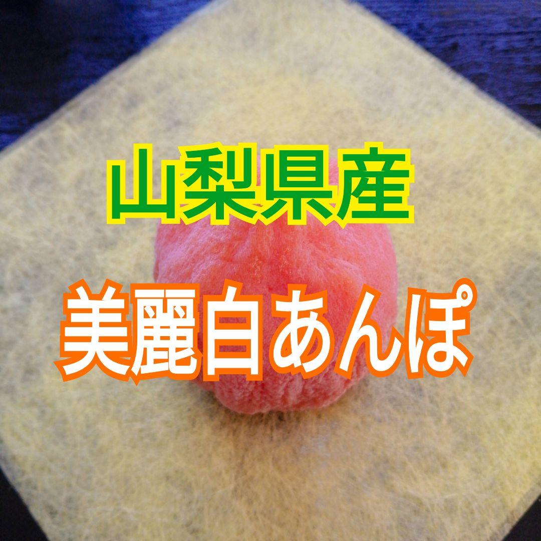 さとみ様　山梨県産　美麗白あんぽ柿　絶品甲州百目(大ぶり)　各1kg 枯露柿