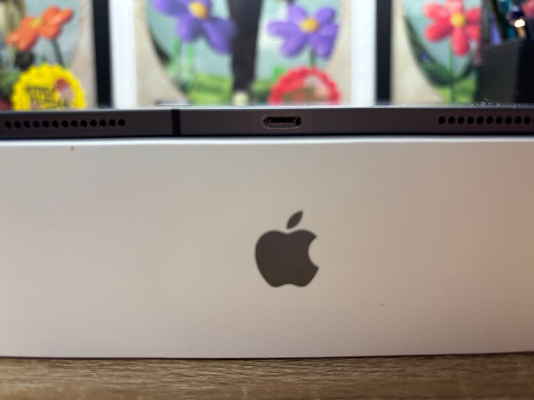 iPadPro11インチ 第2世代 WiFi＋Cellular