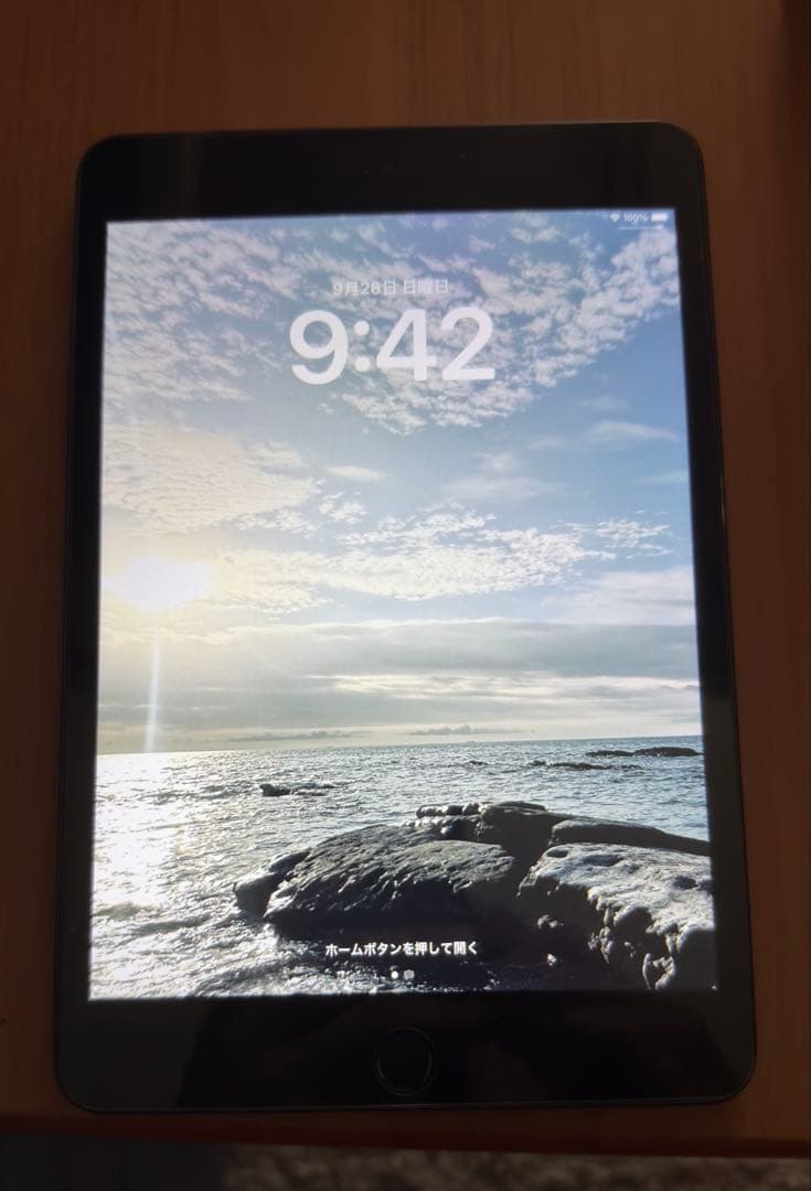 iPad mini第5世代　wifiモデル　64GB