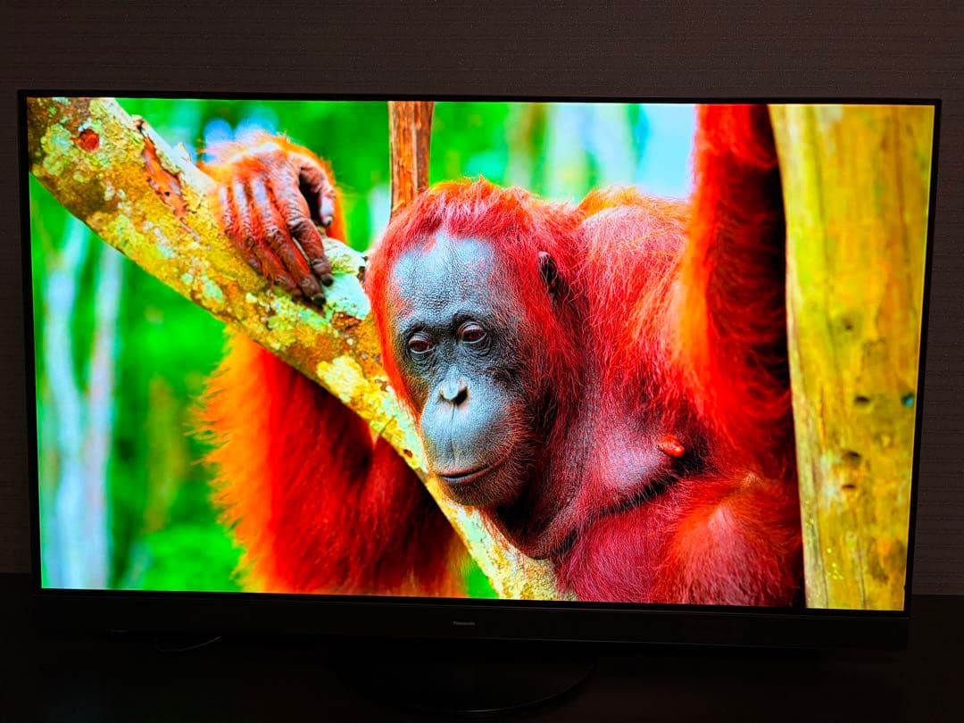 美品　パナソニック 55型 有機ELテレビ ビエラ 4K TH-55HZ1800