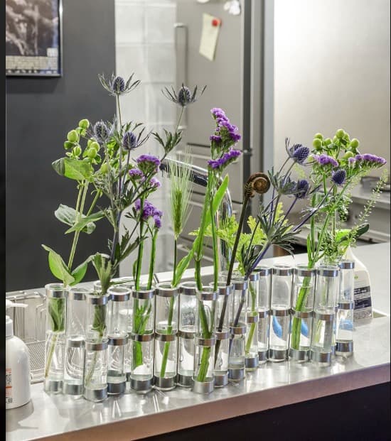 四月の花器 M ツェツェ