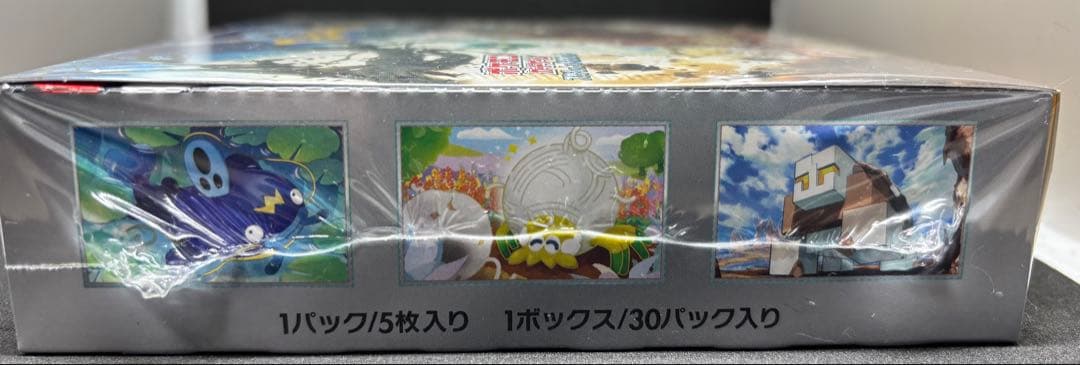 ポケモンカードゲーム スノーハザード&クレイバーストセット シュリンク付き