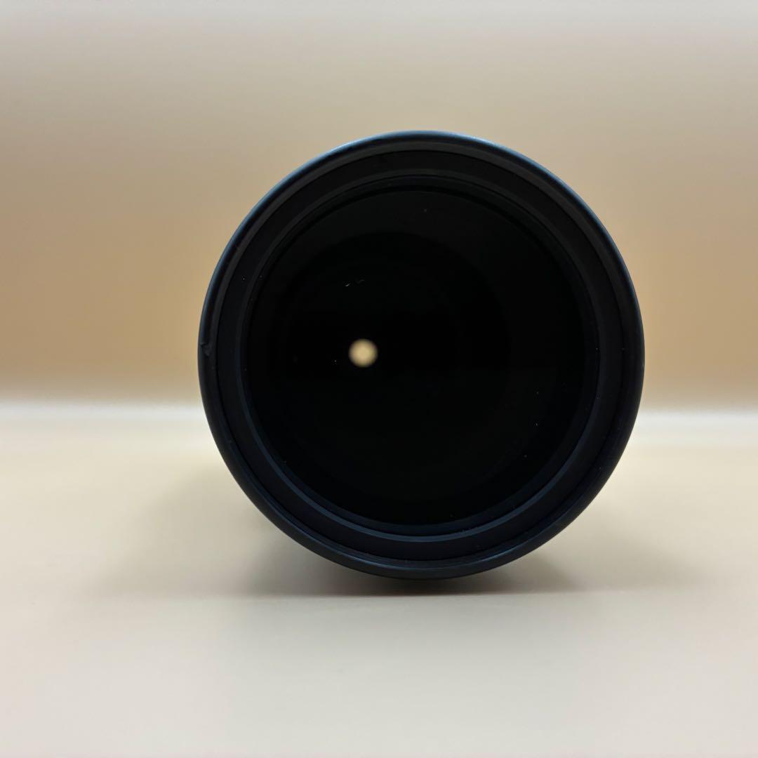 Nikon AF-S 55-300mm VR 超望遠レンズ 一眼レフ 手振れ補正