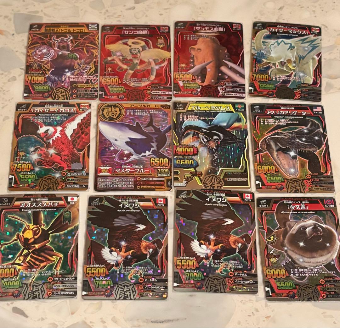 アニマルカイザー カードセット