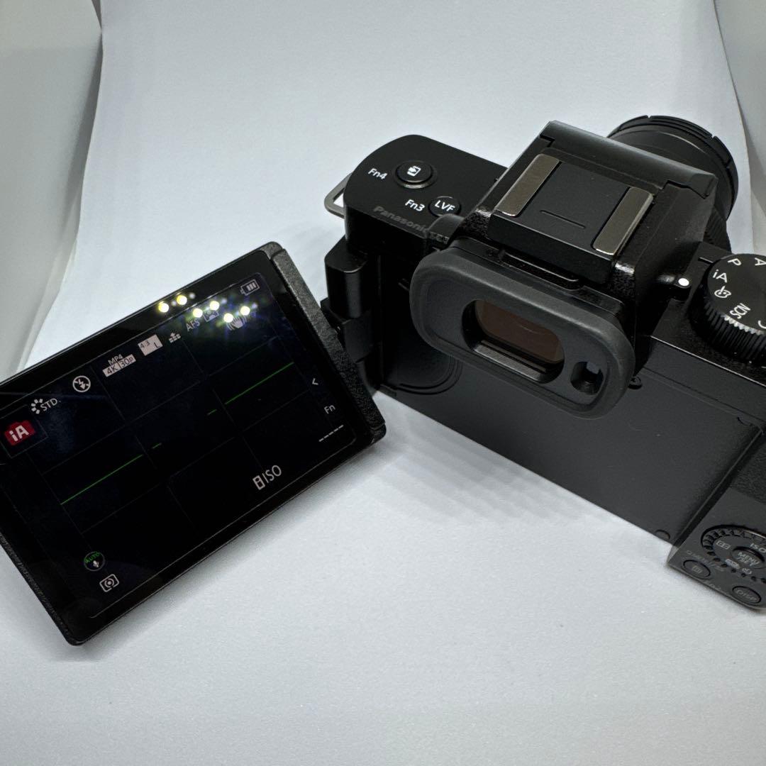 ☆ほぼ新品☆LUMIX G100D ミラーレス一眼カメラ　ルミックス　付属品あり
