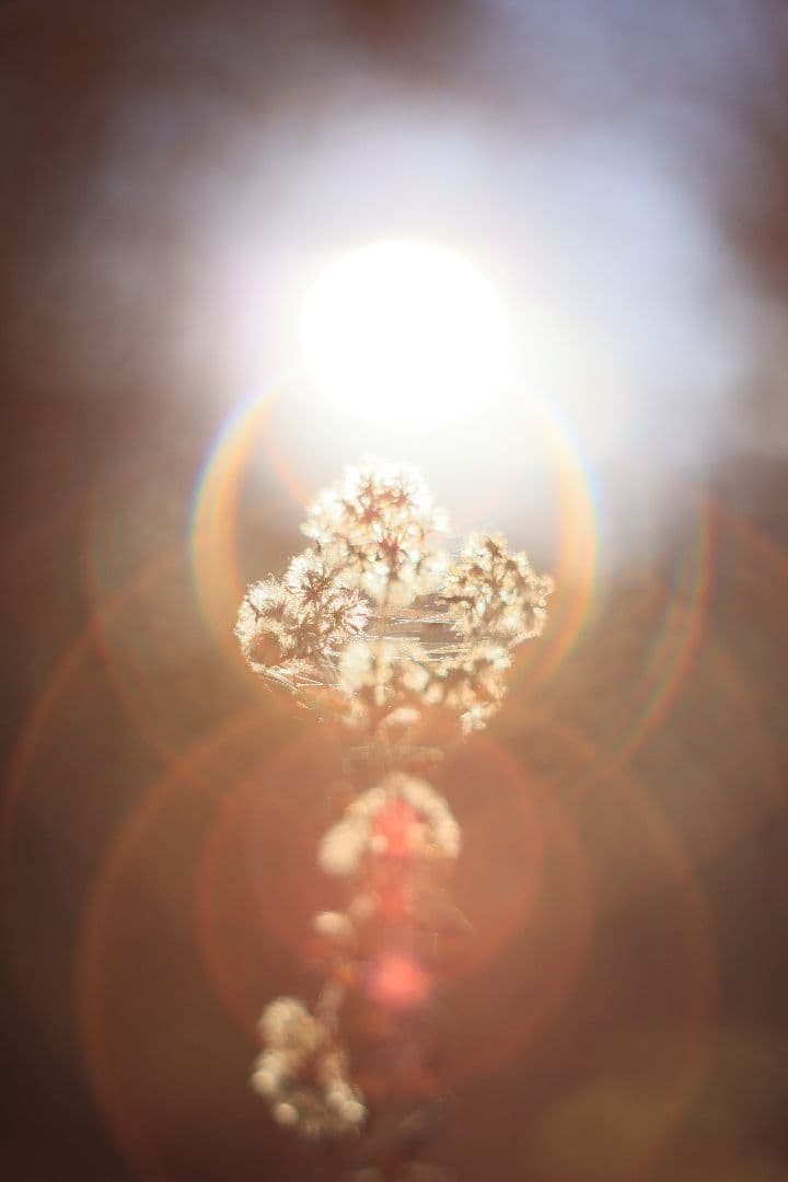 Super-Takumar 55mm F1.8 後期型 S/N：5389244