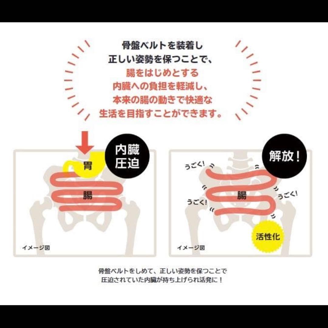 FIT KEEP Ⅱ　フィットキープ2　骨盤ベルト Lサイズ