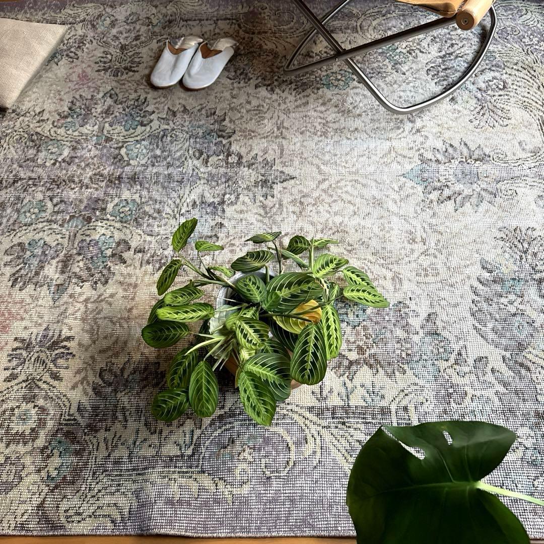 超大判169×274レアくすみラベンダー×クリーム　トルコヴィンテージラグ