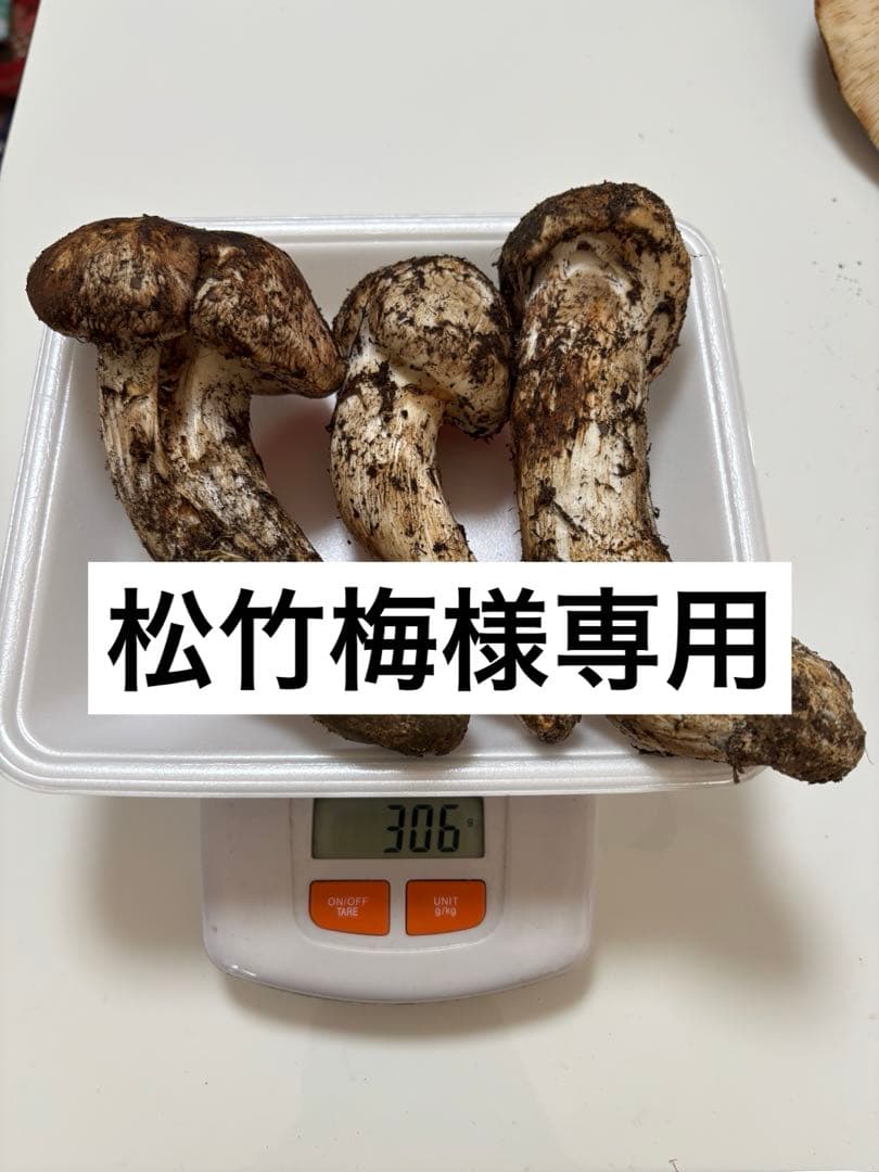 【松竹梅】10/30 信州産 朝採れ松茸553g