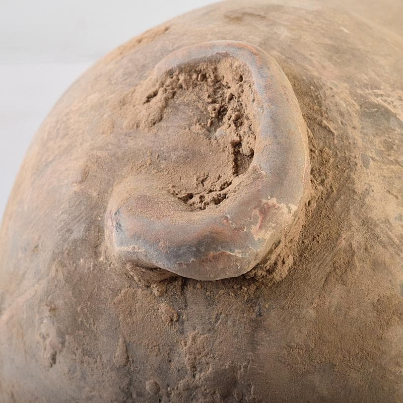 cafe-abakan　中国　加彩　豚俑　陶俑　置物　N　8950AE