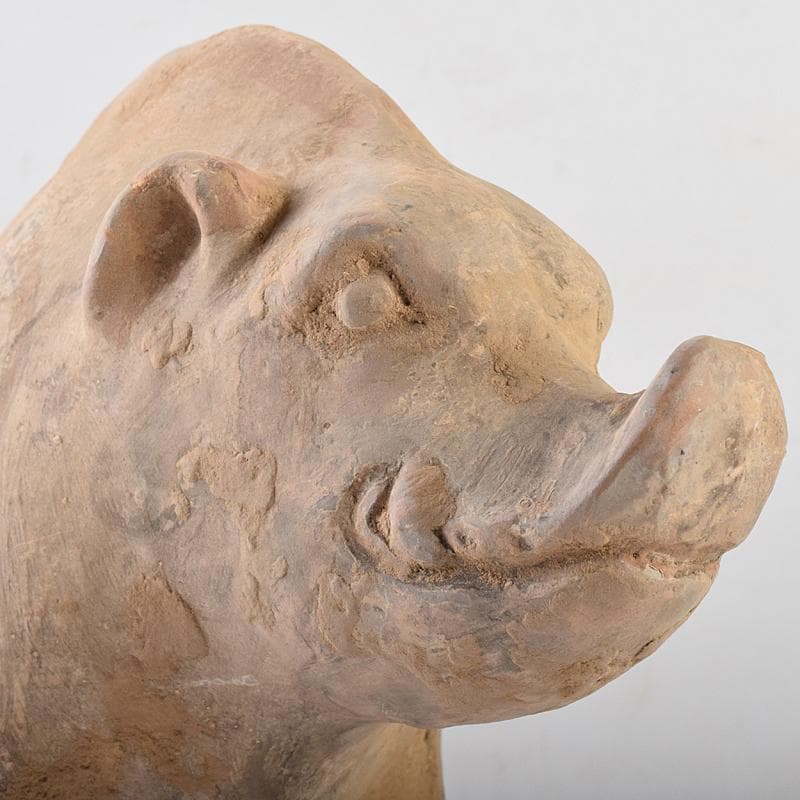 cafe-abakan　中国　加彩　豚俑　陶俑　置物　N　8950AE