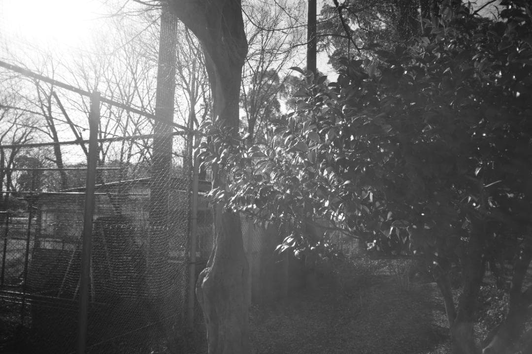 attraction Orion15 28mm f6 L ロシア広角銘玉