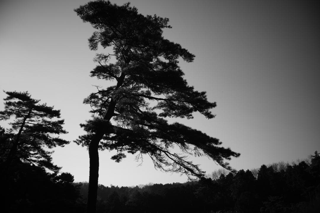 attraction Orion15 28mm f6 L ロシア広角銘玉