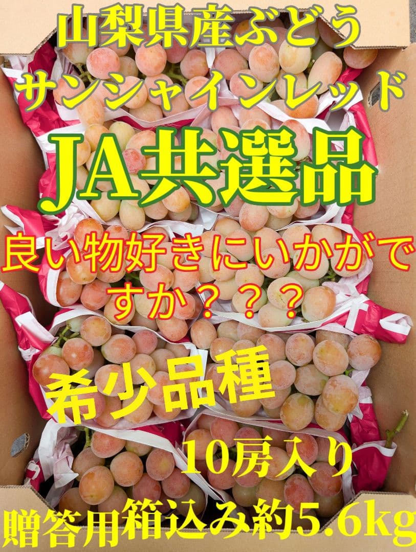 山梨県産ぶどう　サンシャインレッド　10房入り箱込み約5.6kg