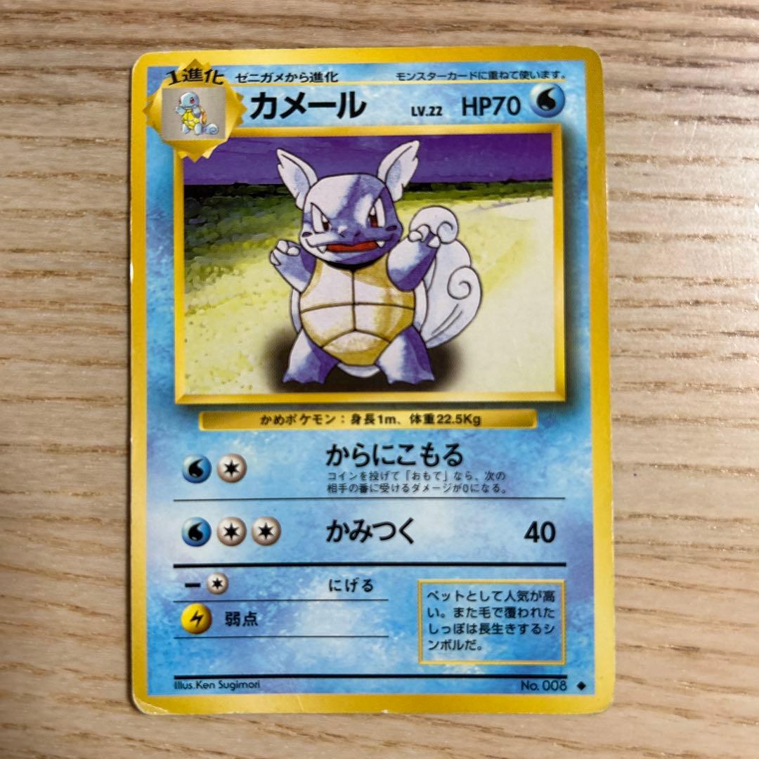 【お得】【良品】ゼニガメ・カメール・わるいカメール・わるいカメックス