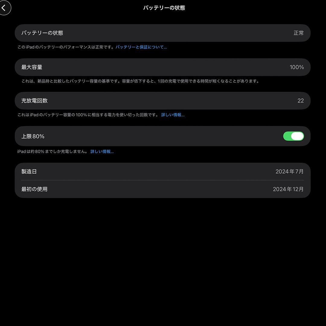 13インチiPad Pro(M4)Wi-Fi 256GB フィルム貼付 ケース付