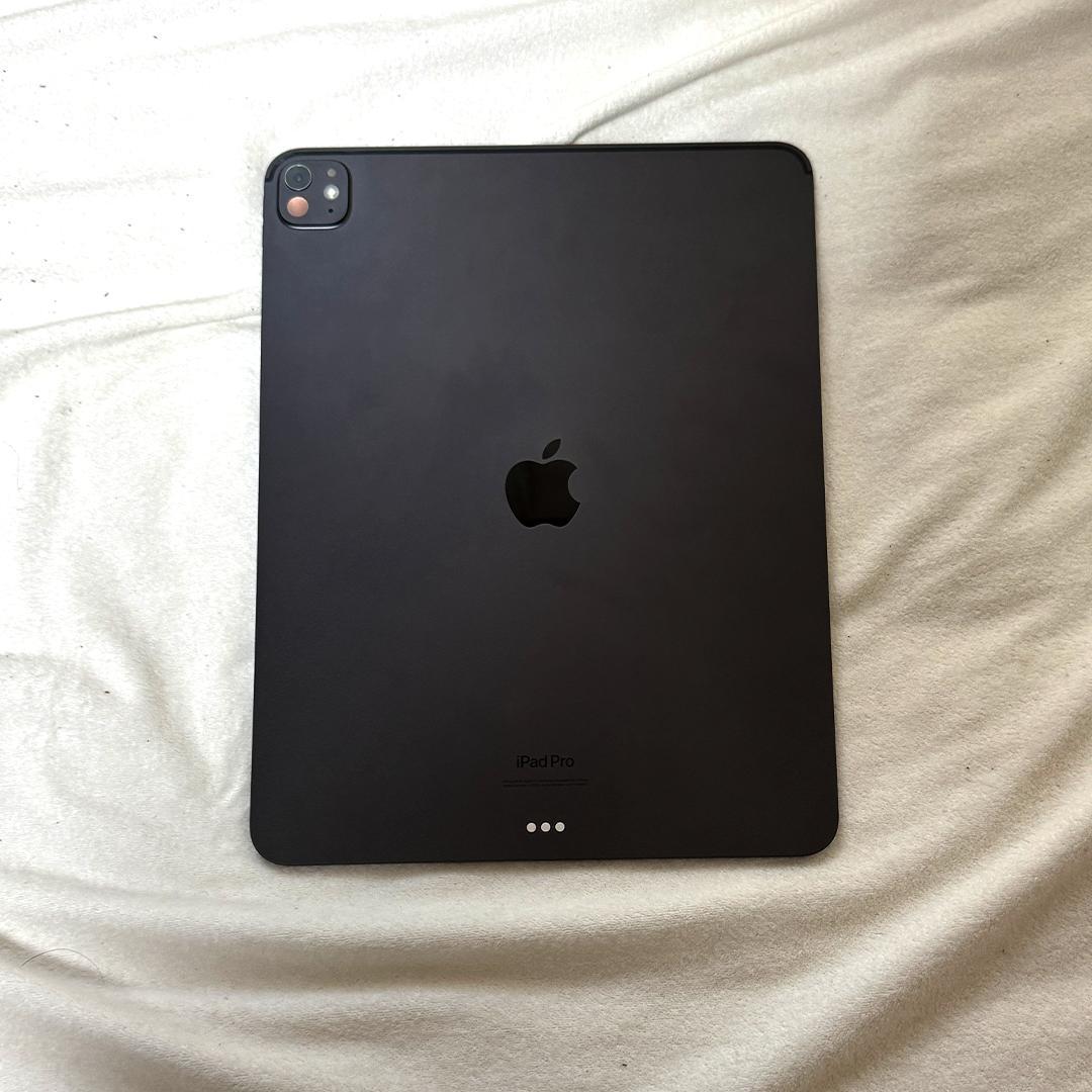 13インチiPad Pro(M4)Wi-Fi 256GB フィルム貼付 ケース付