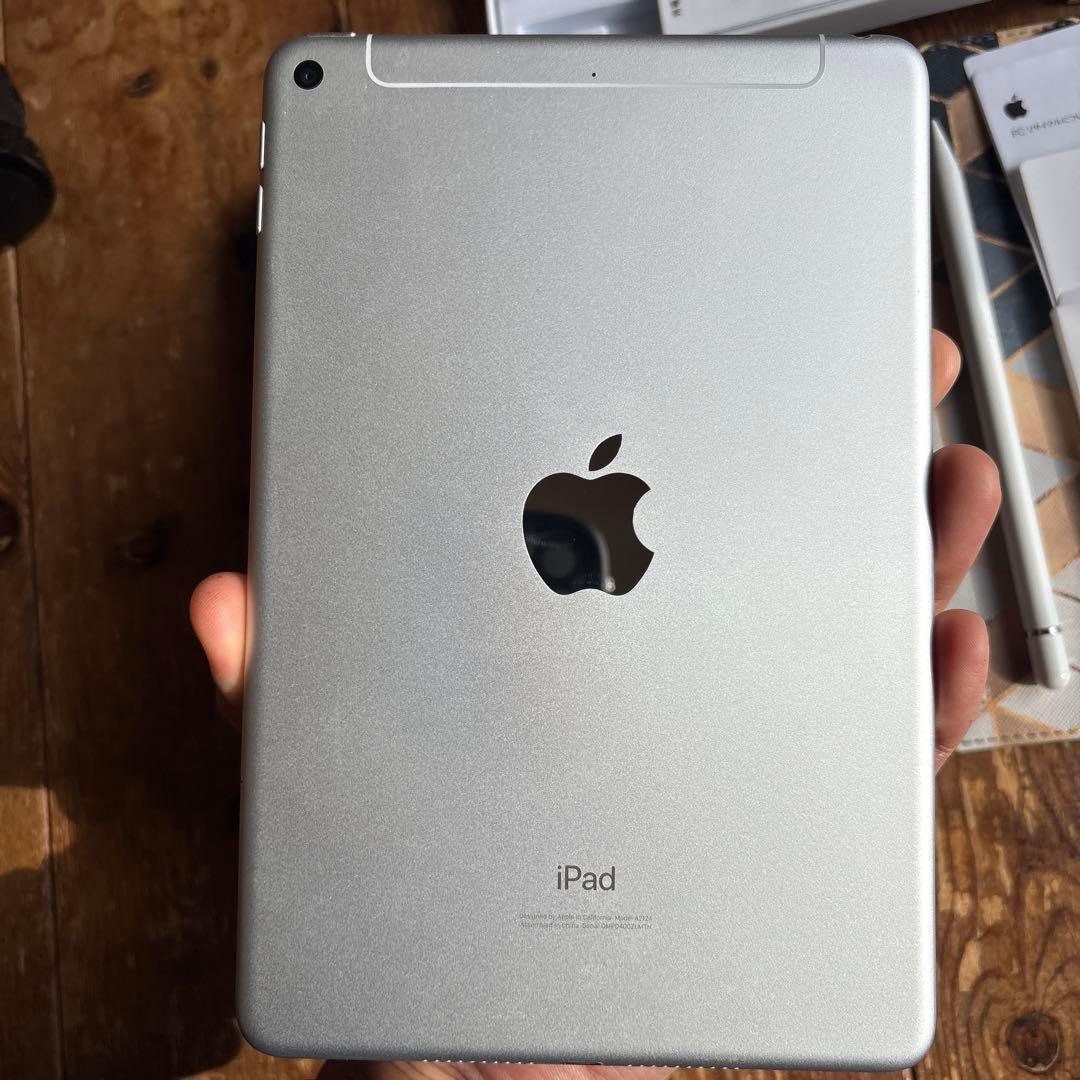Apple iPadmini5 256GB wifi+cellularオマケ多数