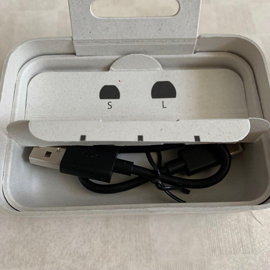 SONY ワイヤレスイヤホン WF-1000XM4 プラチナシルバー 箱あり