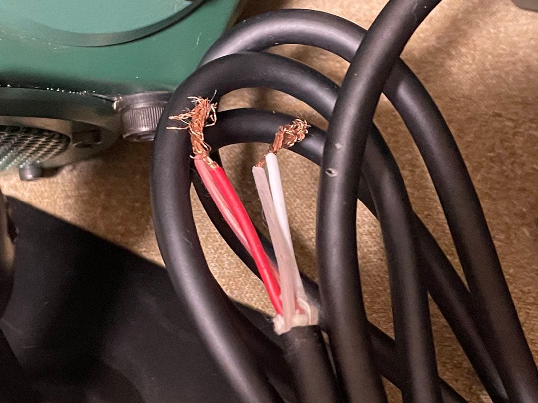 【希少レア！】12面体スピーカー　全天候型　グリーン　入手困難　アースグリーン