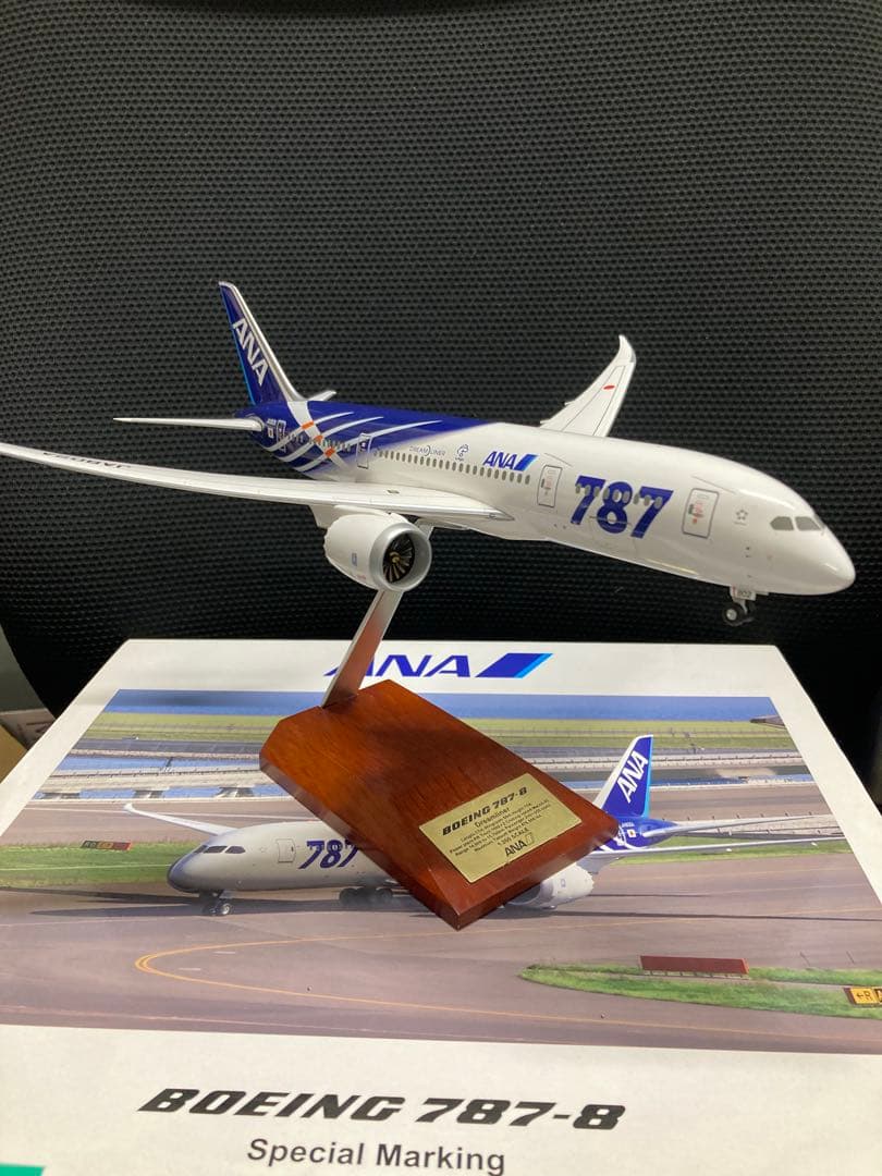 ANA Boeing 787 - 8 特別塗装機 1/200