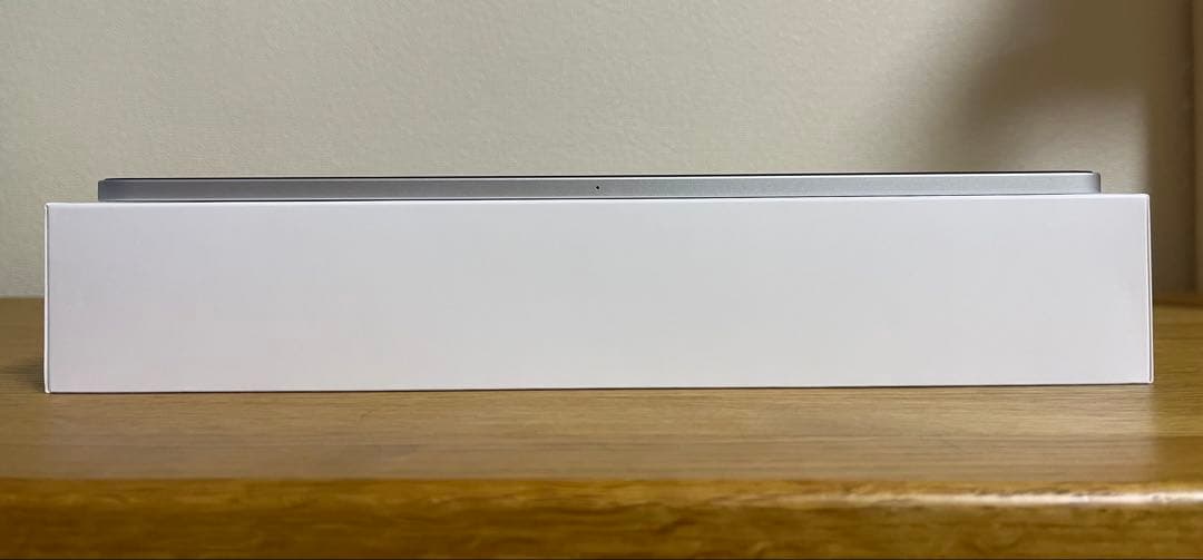 iPad Pro 第4世代　256GB(12.9インチ)