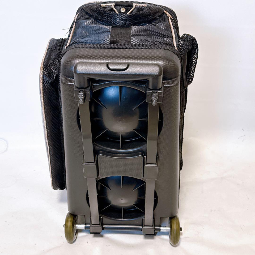 STORM ストーム ボウリング用バッグ キャリーバッグ 2個用