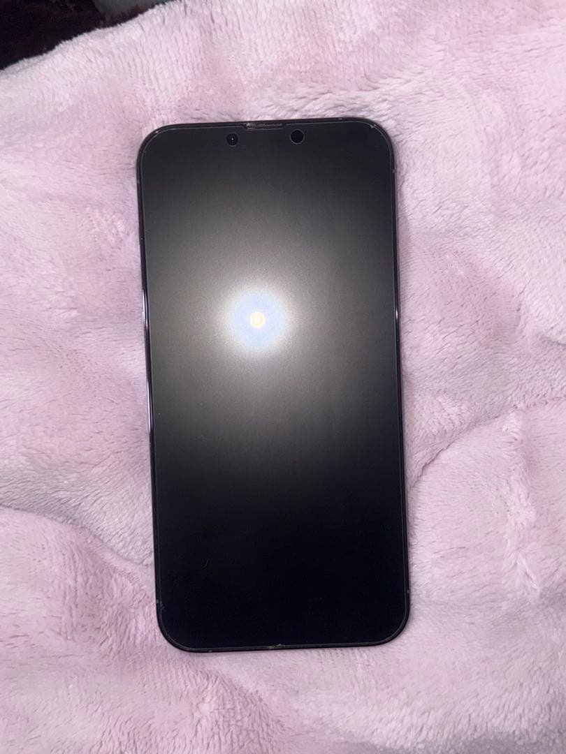 スマートフォン本体 Apple iPhone 13 Promax