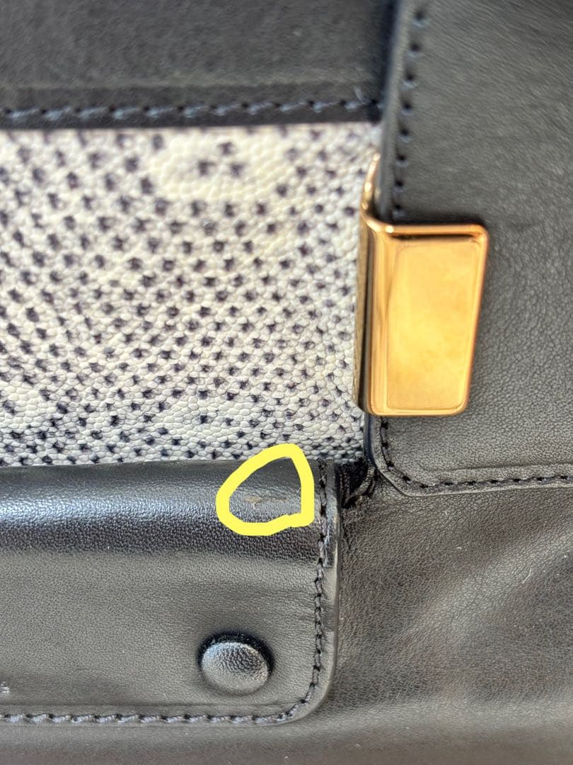 クロエ リトルアリス　蛇柄