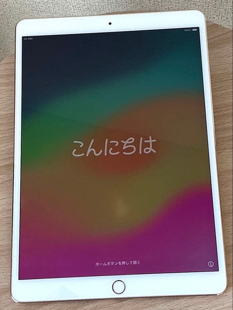 iPad本体 iPad Pro 256GB MPHJ2J/A Wi-Fi+Cellular