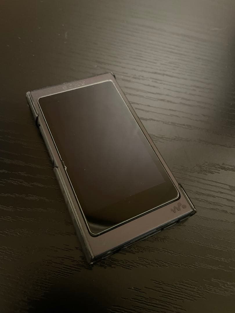 ポータブルプレーヤー Sony Walkman NW-A45 16G