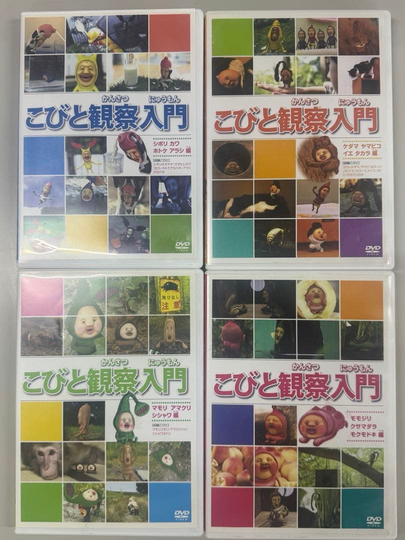こびとづかん dvd 9枚セット