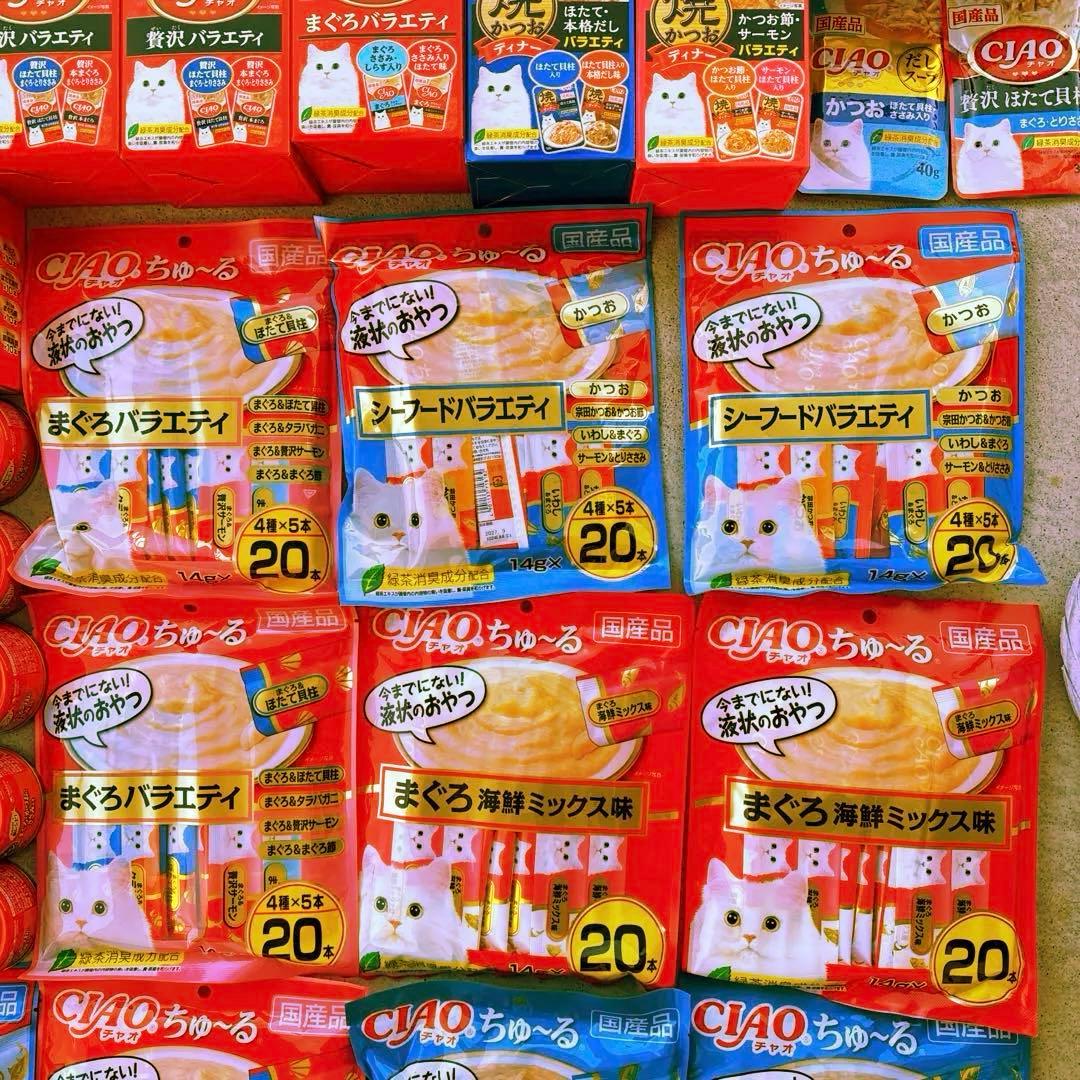 ゴン太　　猫C 最終値下げしました！