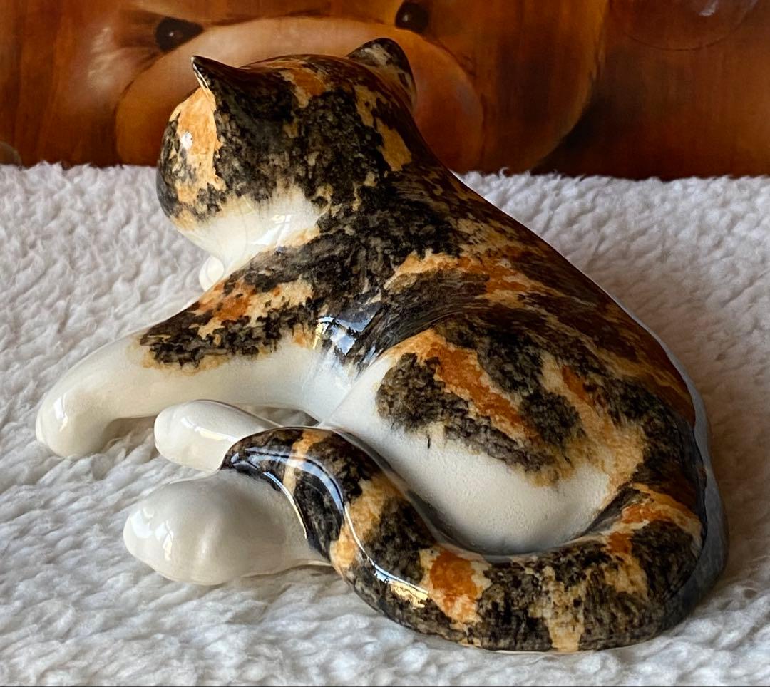 サイズ2　ウィンスタンレイキャット　ケンジントンキャット　三毛猫仔猫