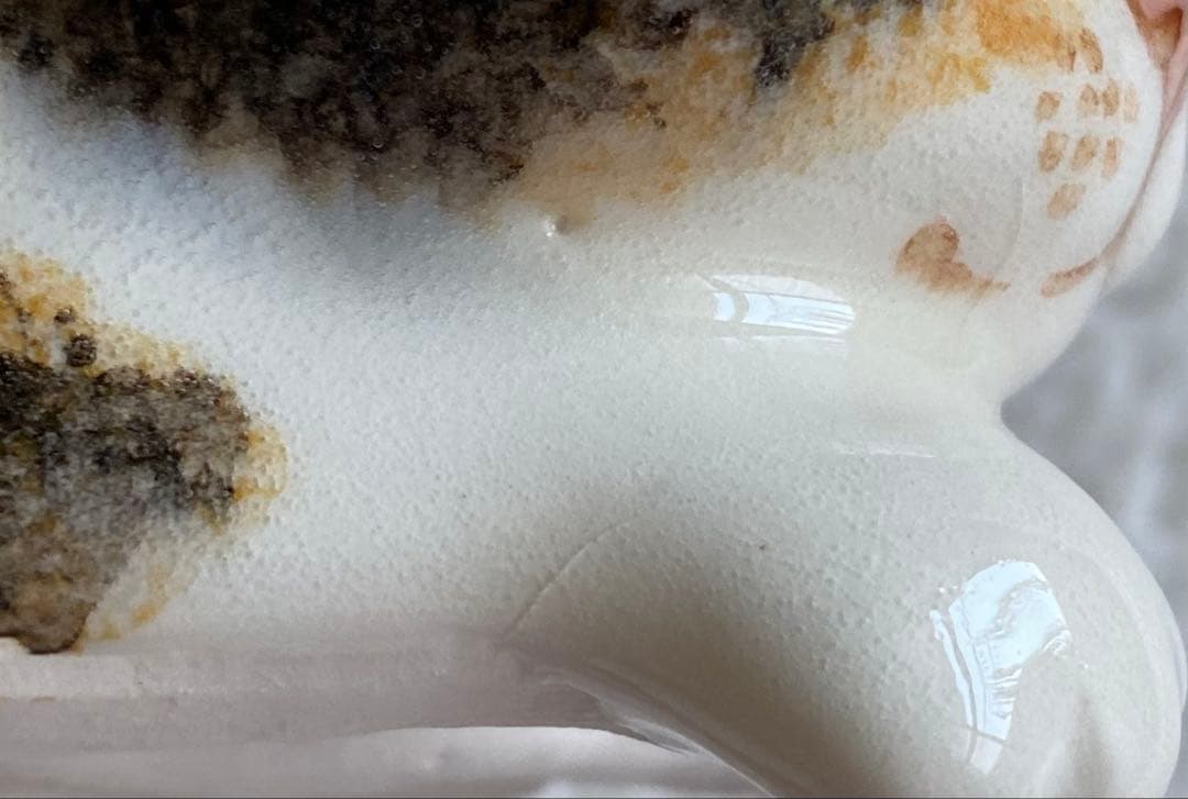 サイズ2　ウィンスタンレイキャット　ケンジントンキャット　三毛猫仔猫