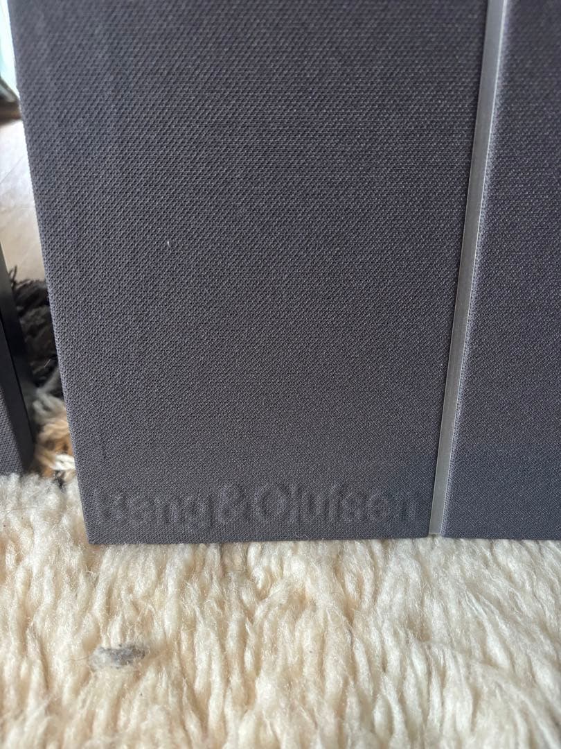 Bang & Olufsen BEOVOX RL35 バング&オルフセン