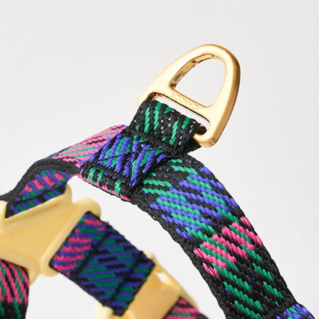 【ICANDOR】 首輪 ハーネス ショルダーリード 3点セット