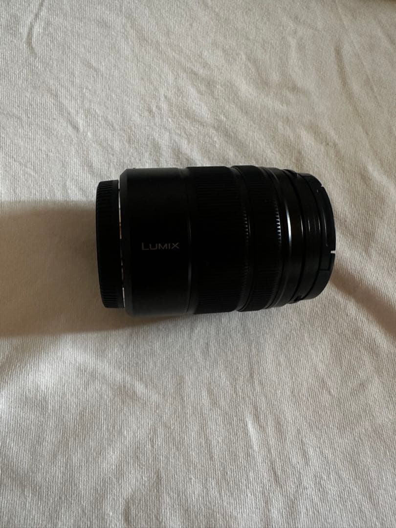 LUMIX g100dデジタル一眼レフカメラ 本体とレンズセット