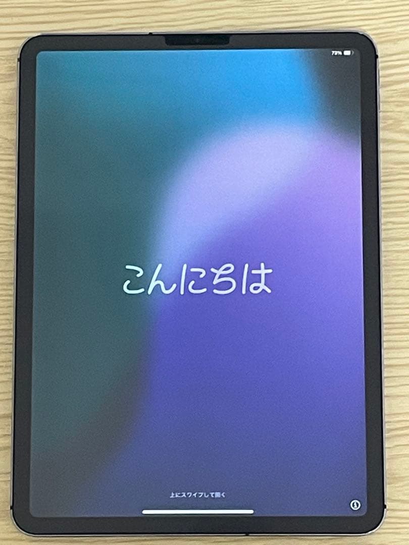 iPad Pro 11インチ 第1世代 256gb