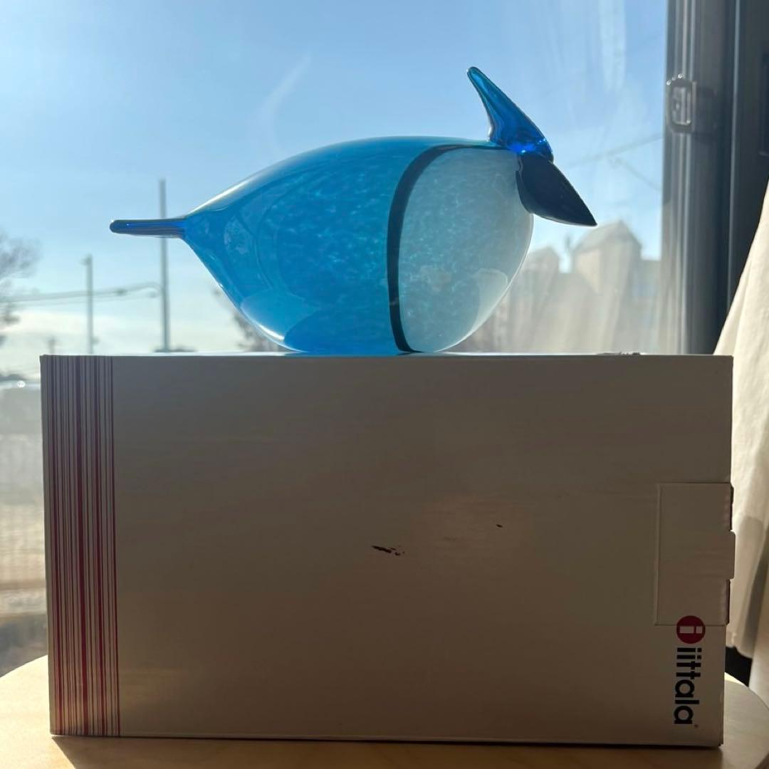 Canadian Blue Jay イッタラバード Oiva Toikka