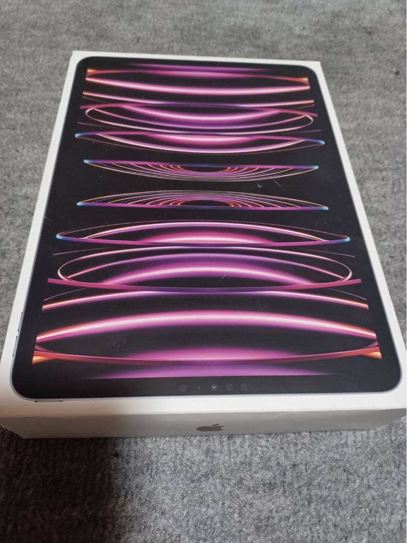 iPad Pro 11インチ　第4世代