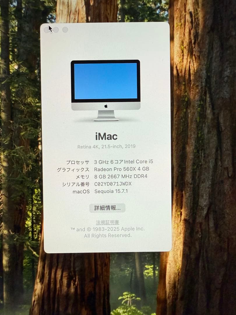 iMac Retina 4K 21.5インチ 2019 i5 8GB