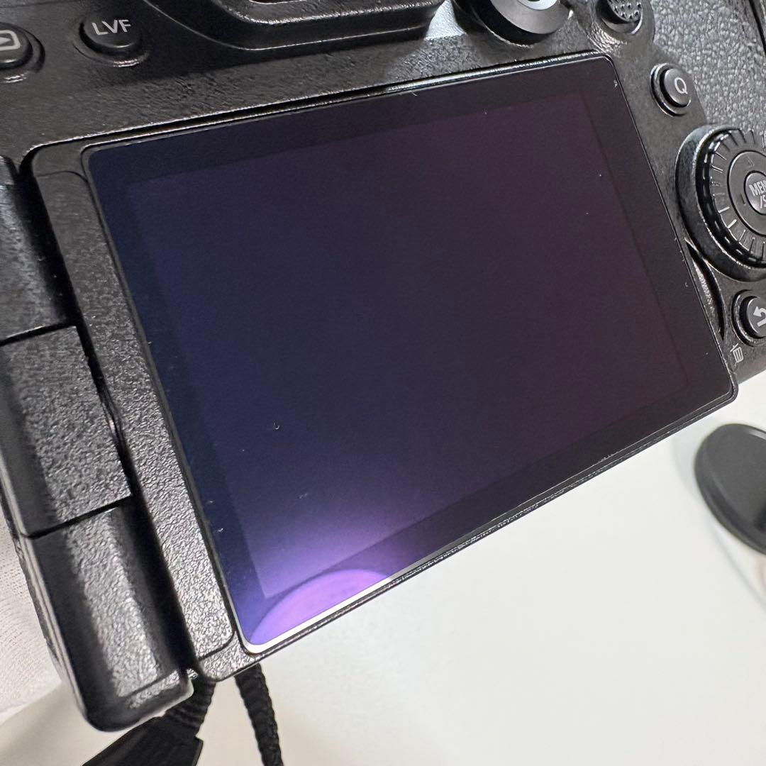 LUMIX s5iix 一眼カメラ レンズキット DC-S5M2XK