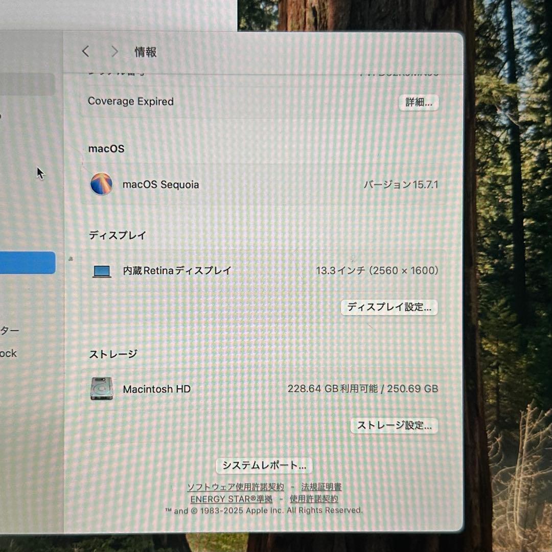MacBook Air 2020 ピンクゴールド 動作良好