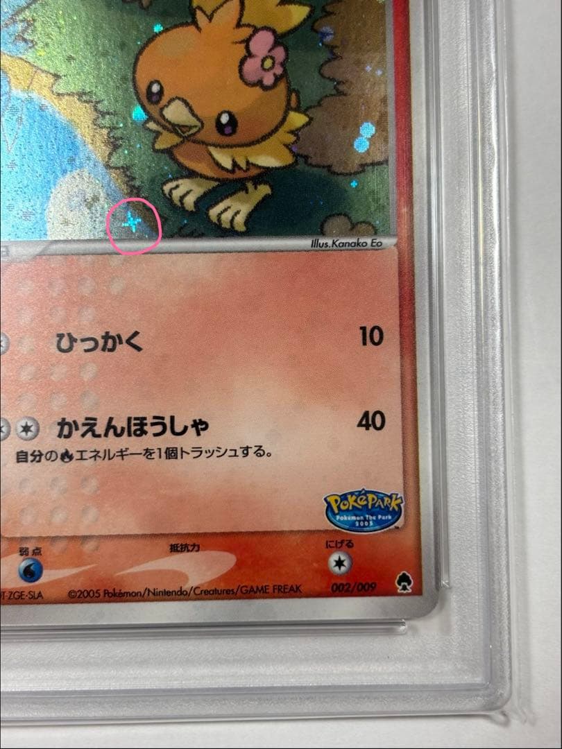 ポケパークのアチャモ PSA9 (渦巻ホロ・十字ホロあり)