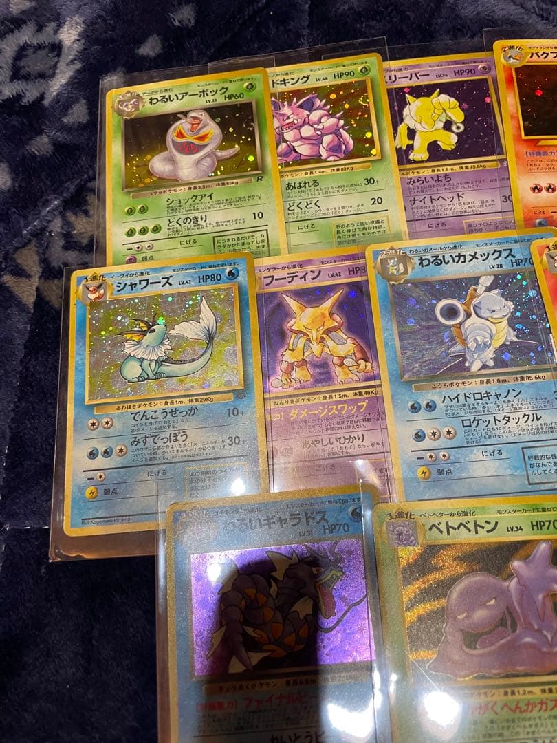 旧裏　16枚まとめ売り　ブラッキー　プレミアムファイル