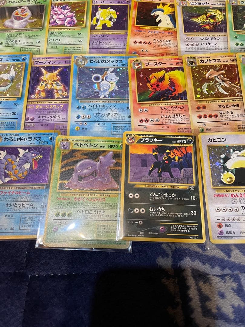 旧裏　16枚まとめ売り　ブラッキー　プレミアムファイル