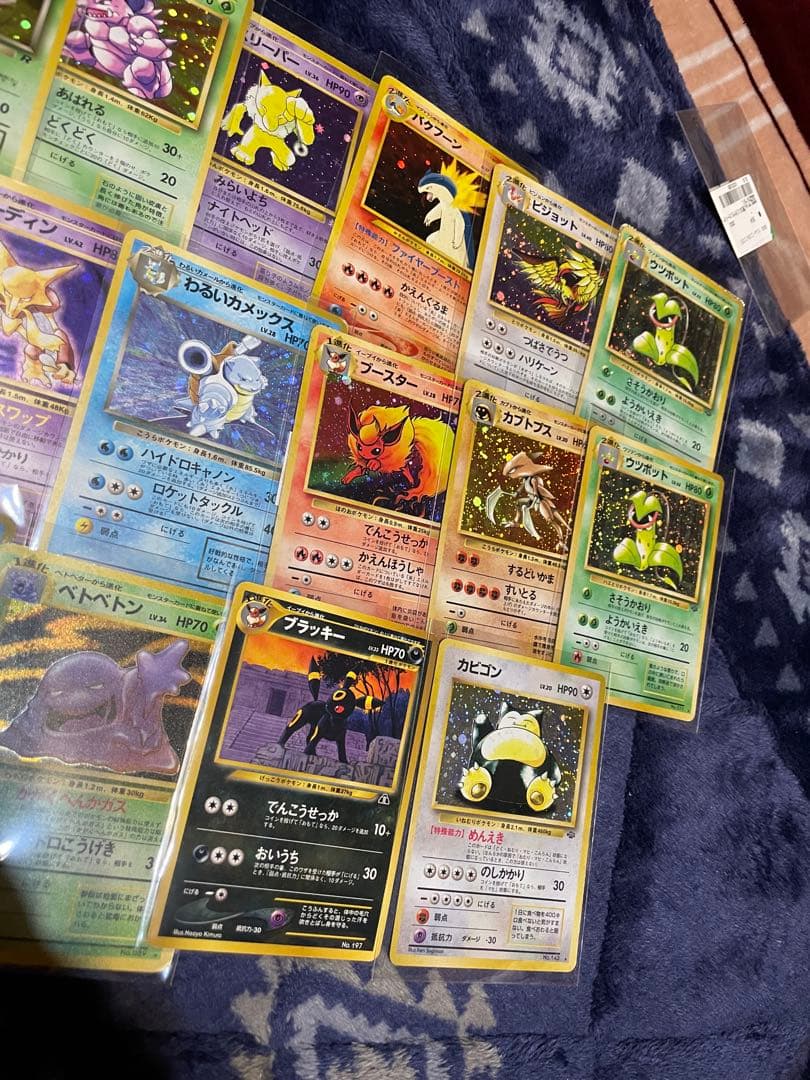 旧裏　16枚まとめ売り　ブラッキー　プレミアムファイル