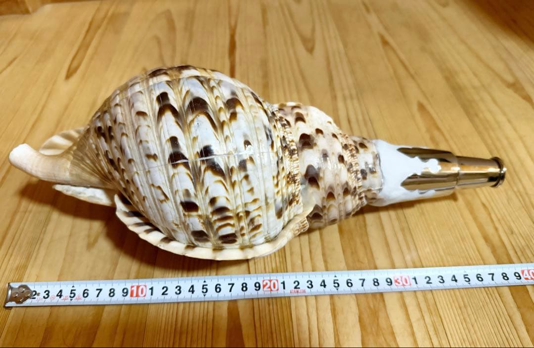 幸せウサギ専用 大型39㎝修験道法螺貝　山伏　密教　魔除け　熊よけ❣️ほら貝